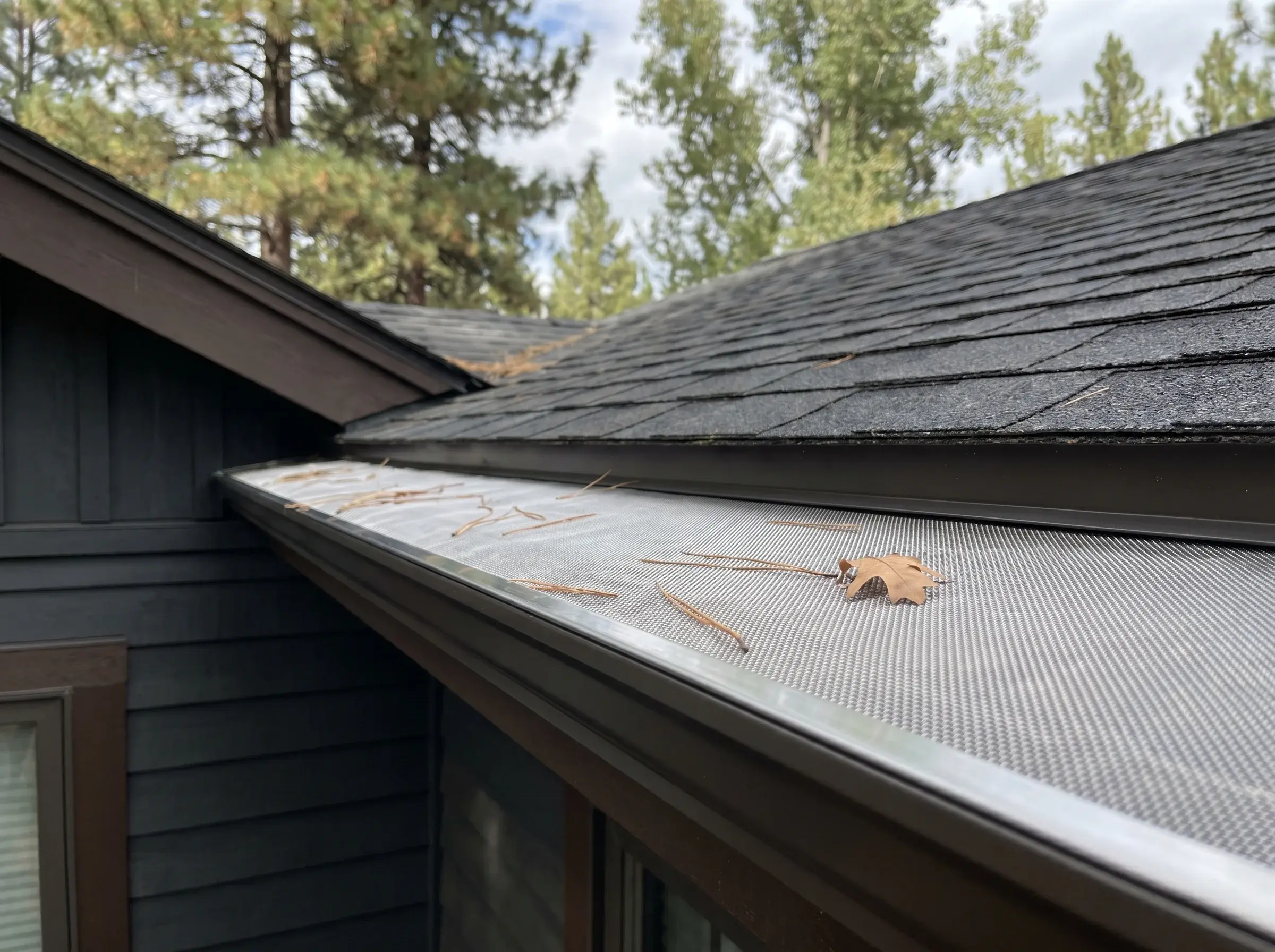 Gutter Guard Installation in the Treasure Valley by Boise Gutter Guards
